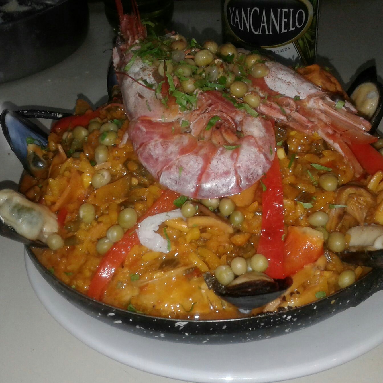 plato1
